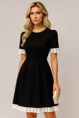 Vintage Lace-Trim A-Line Dress