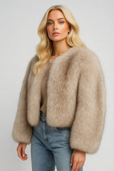 Marca de luxo icônica da semana de moda de rua Gardient Cropped