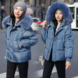 Large Fur Collar Thick Padded Jacket Down Women Short Slim-2