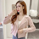 Double breasted waist long sleeve short coat-Pink-2